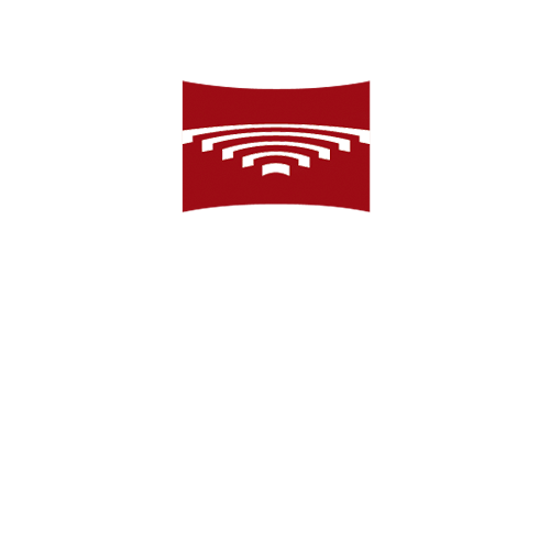 Rigas Stradini University